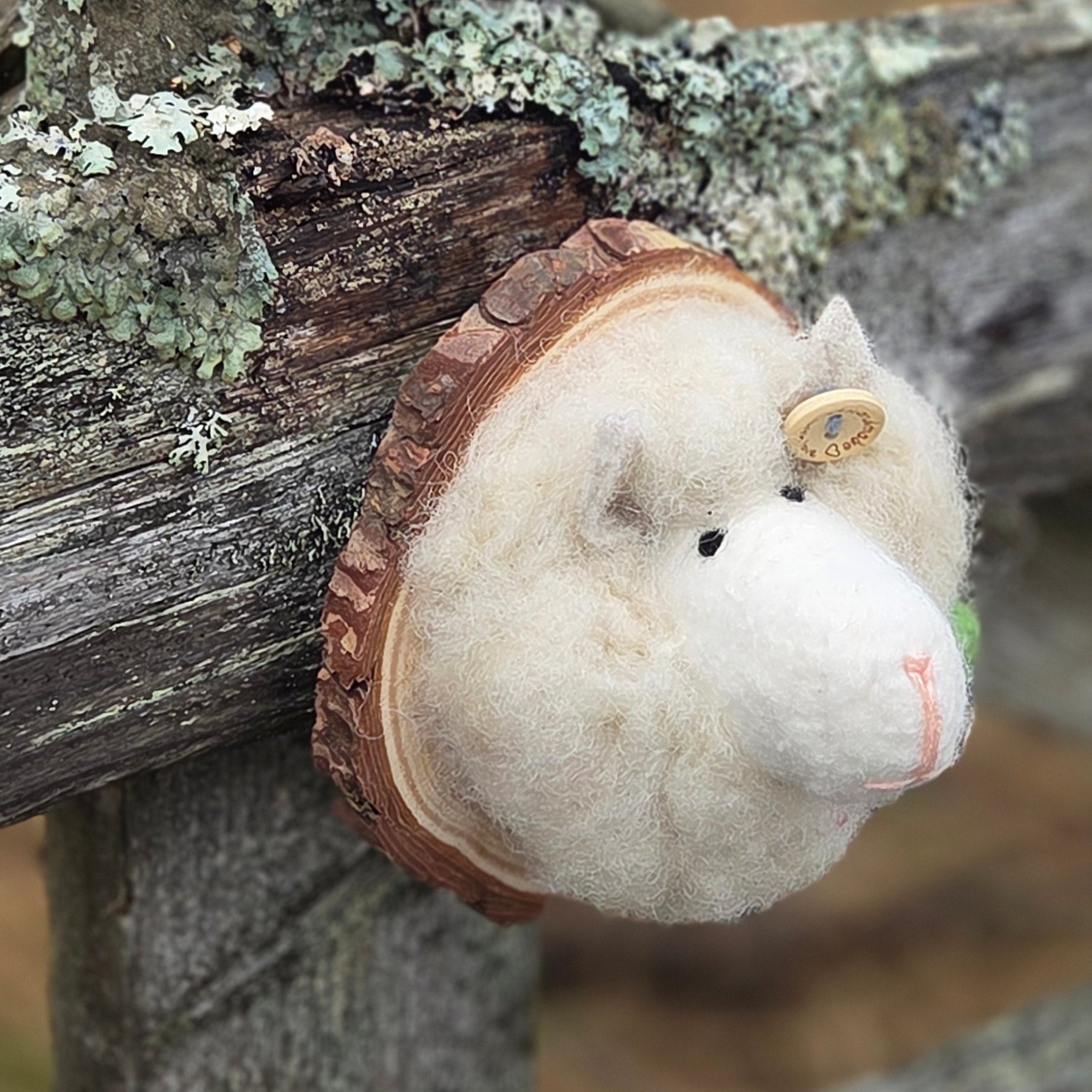 Small white creature with a pink bow on a wooden log with lichen, blurred background