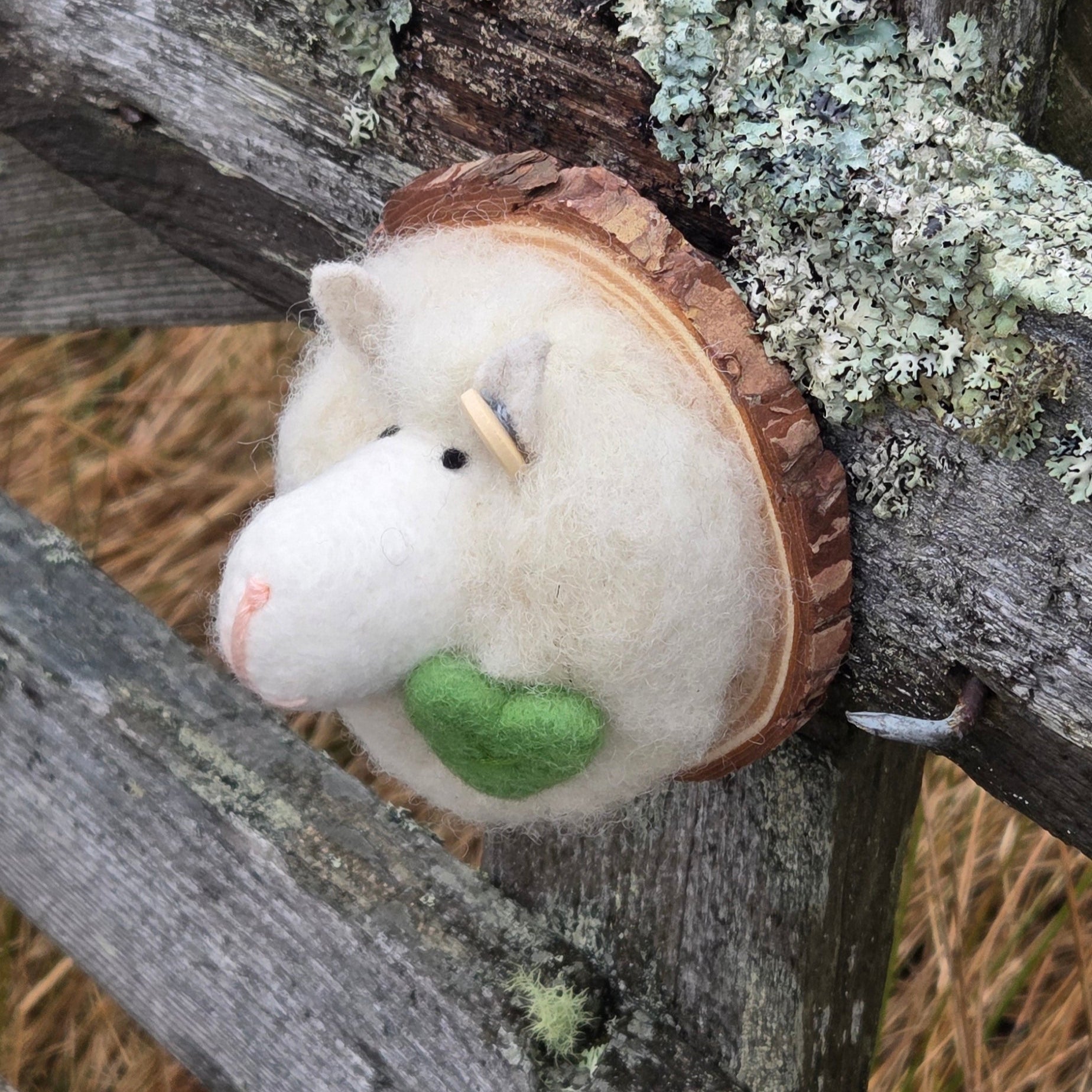 Small white creature with a green button on a textured wooden background