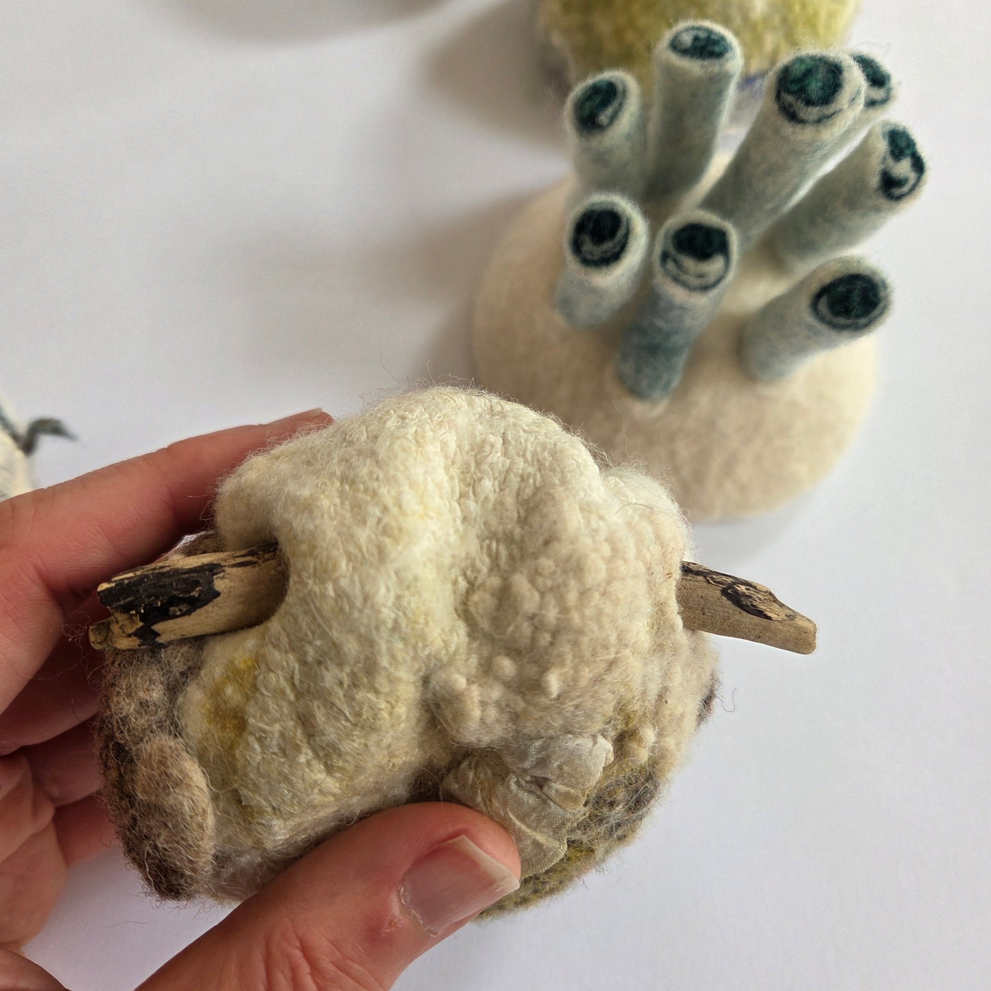 Felt a Sea Urchin: Workshop