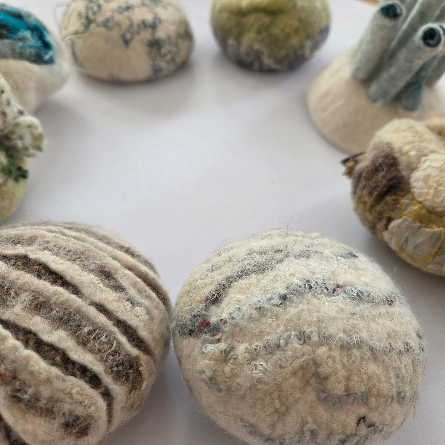Felt a Sea Urchin: Workshop