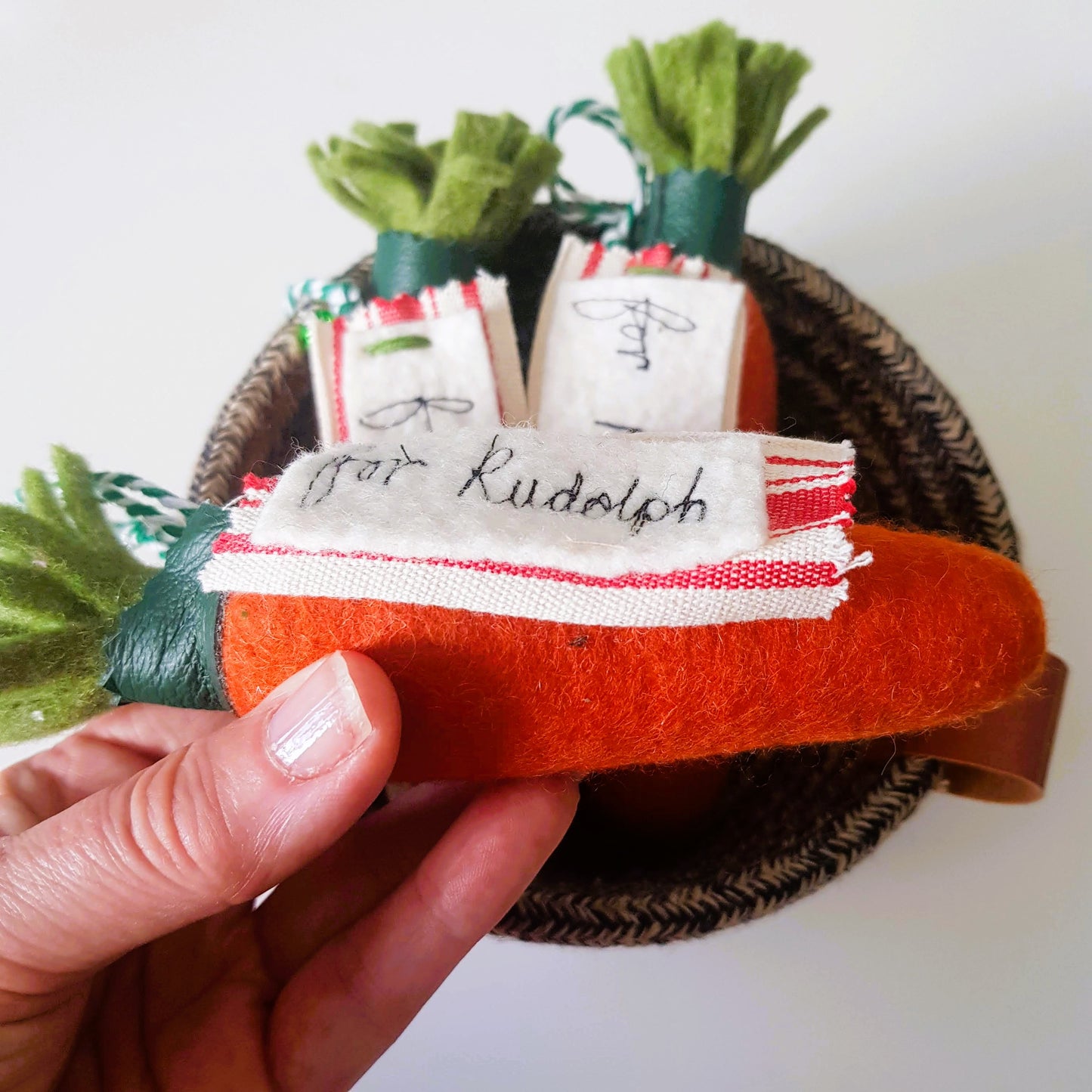 Carrot for Rudolph