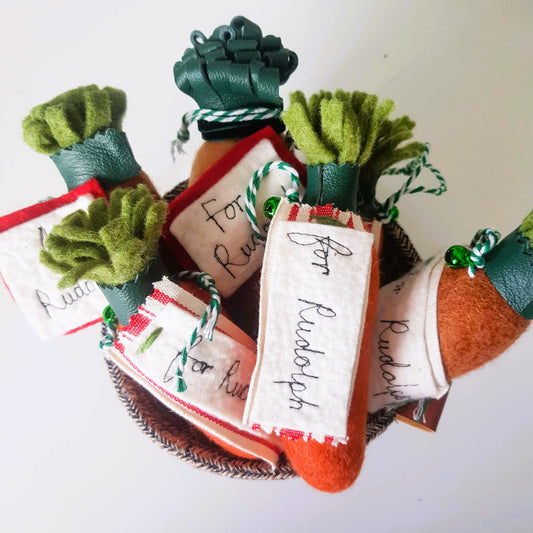 Carrot for Rudolph