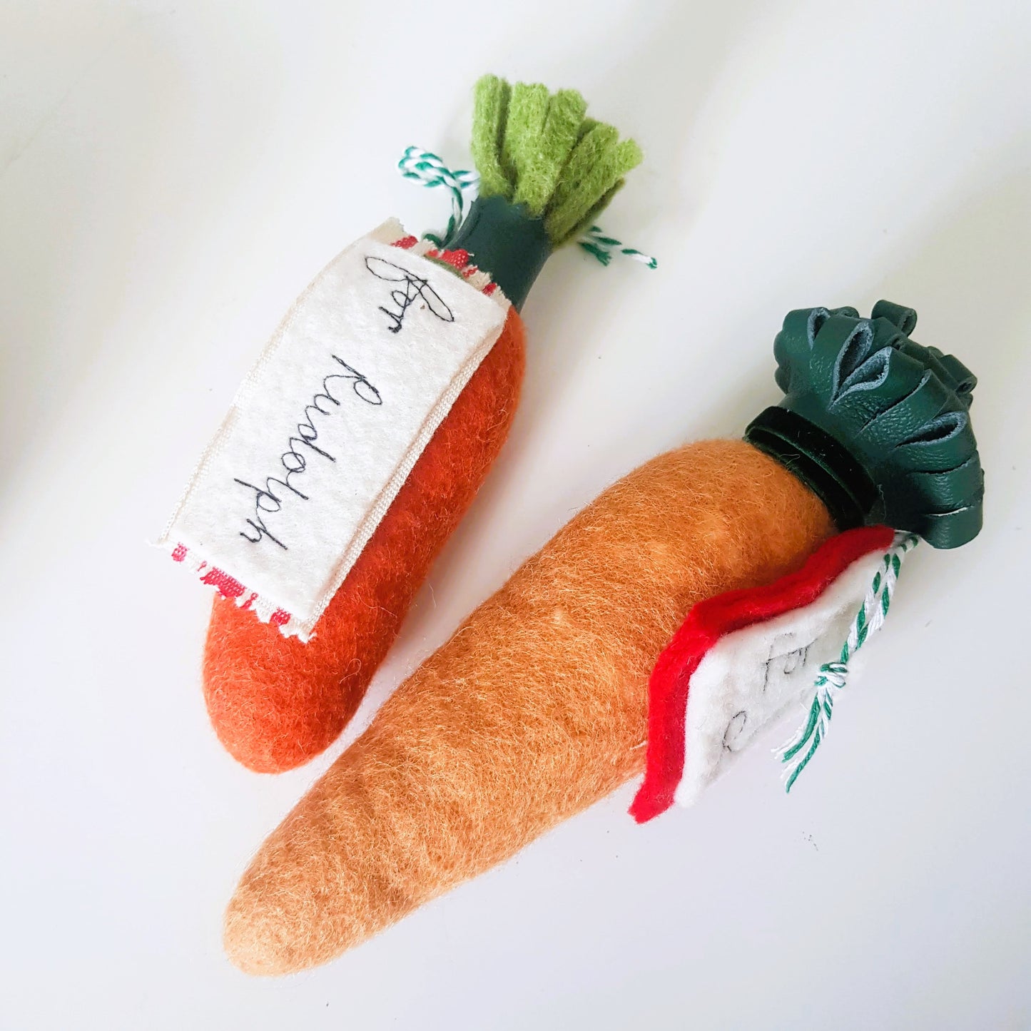 Carrot for Rudolph