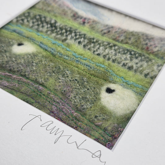 The Mountain Sheep: Irish Textile Landscape