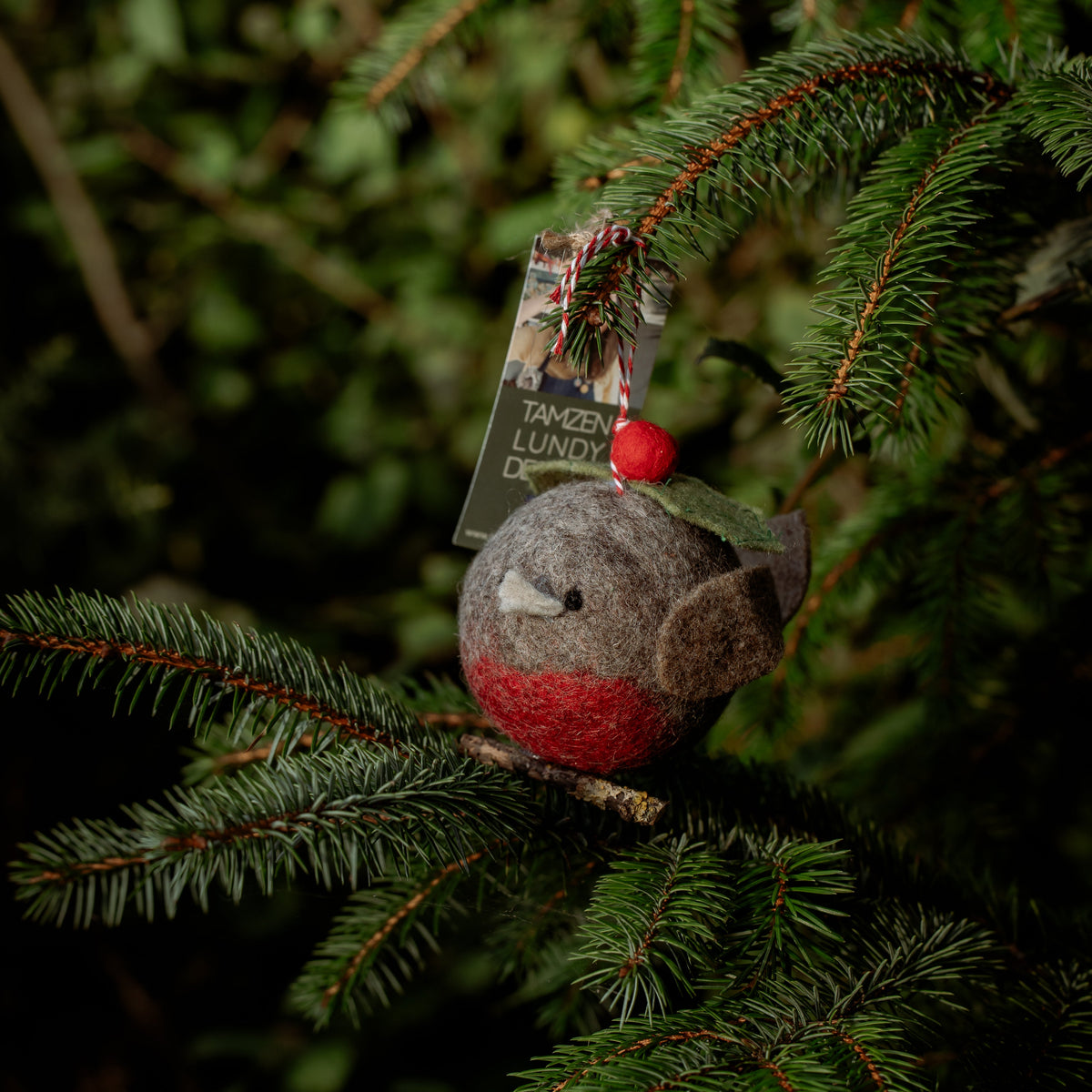 A felt bird ornament with a gray head, red body, and small red berry on its head, hanging from a pine branch with a tag that reads 'TAMZEN LUNDY DESIGNS'.