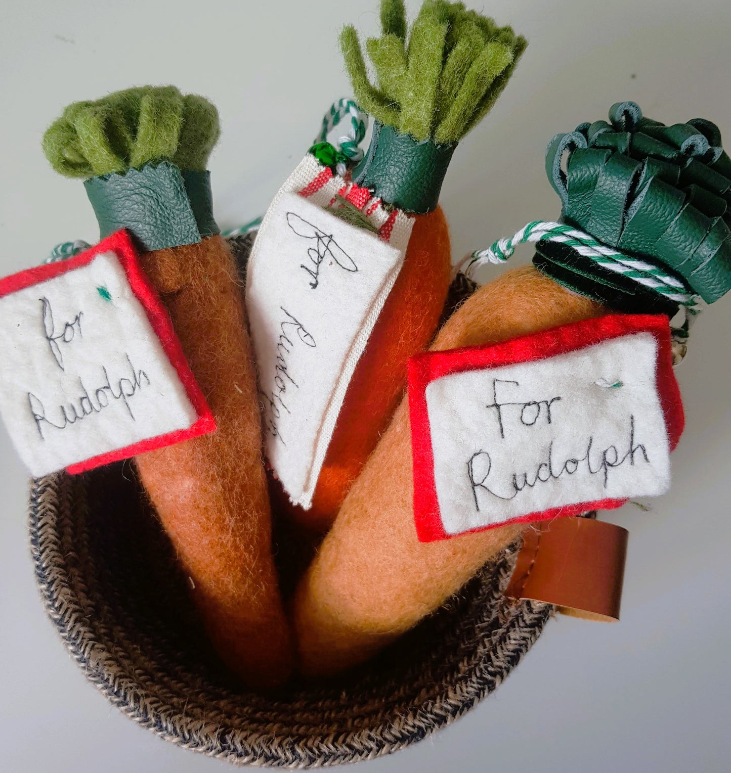 Carrot for Rudolph