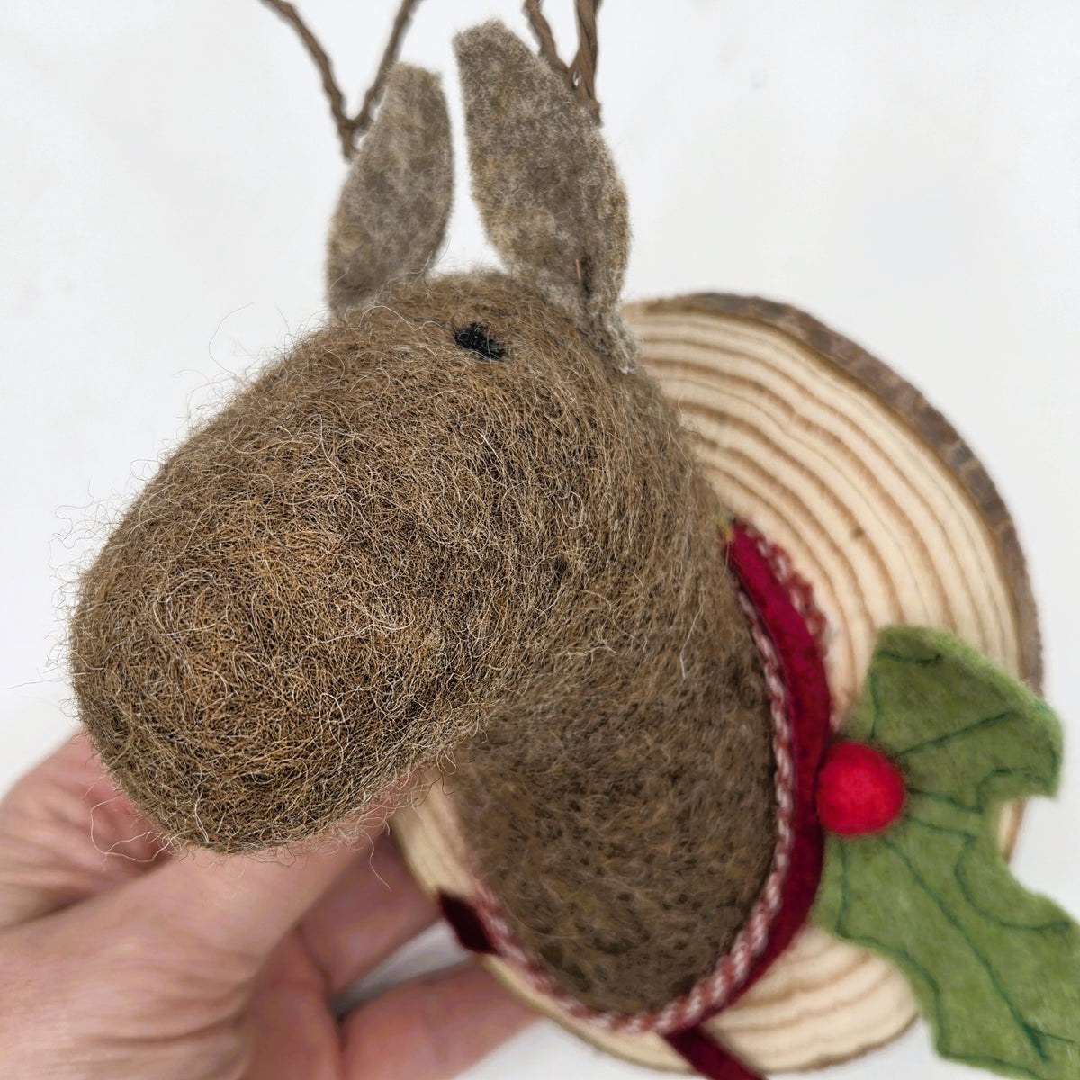 Rudolph Reindeer Faux Taxidermy