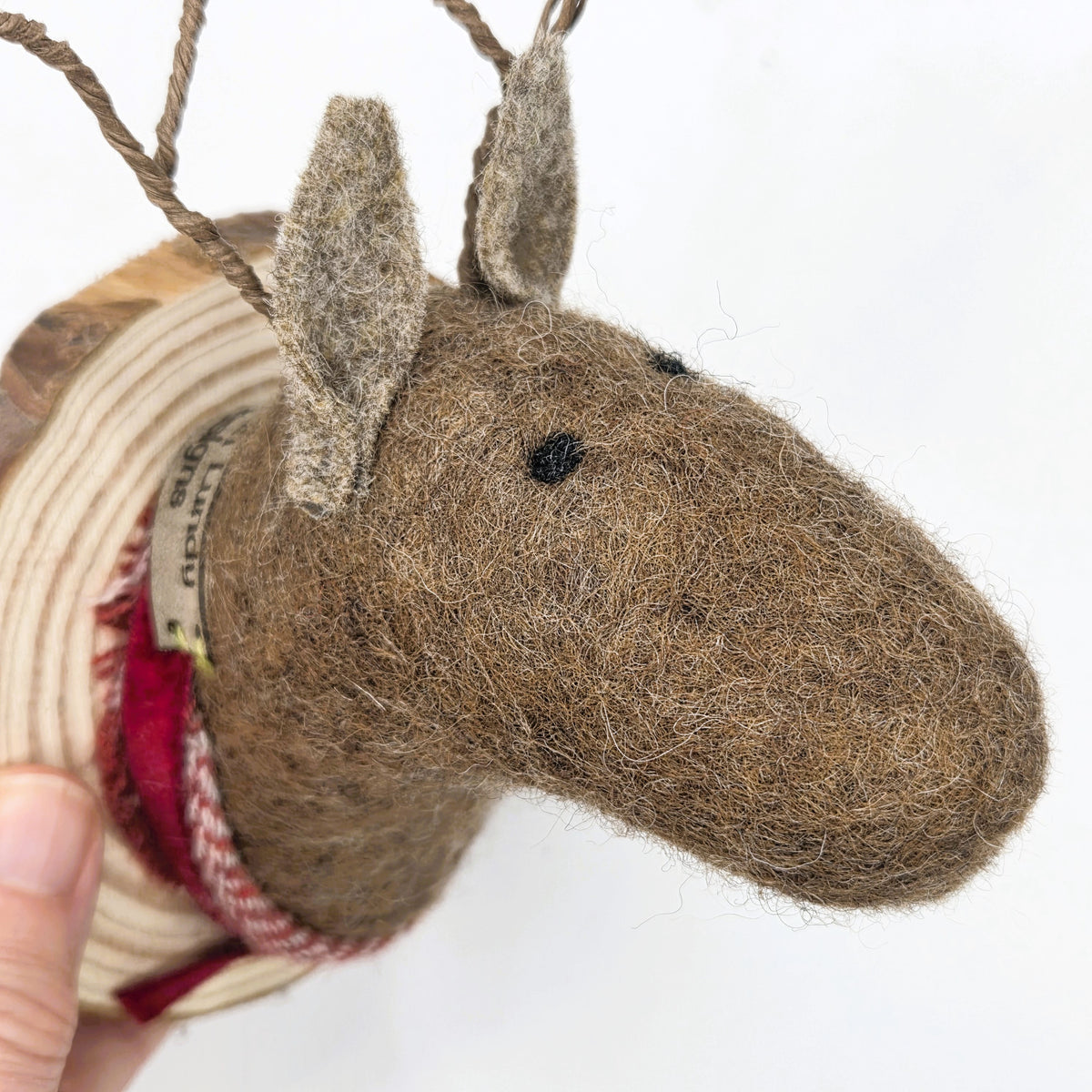 Rudolph Reindeer Faux Taxidermy