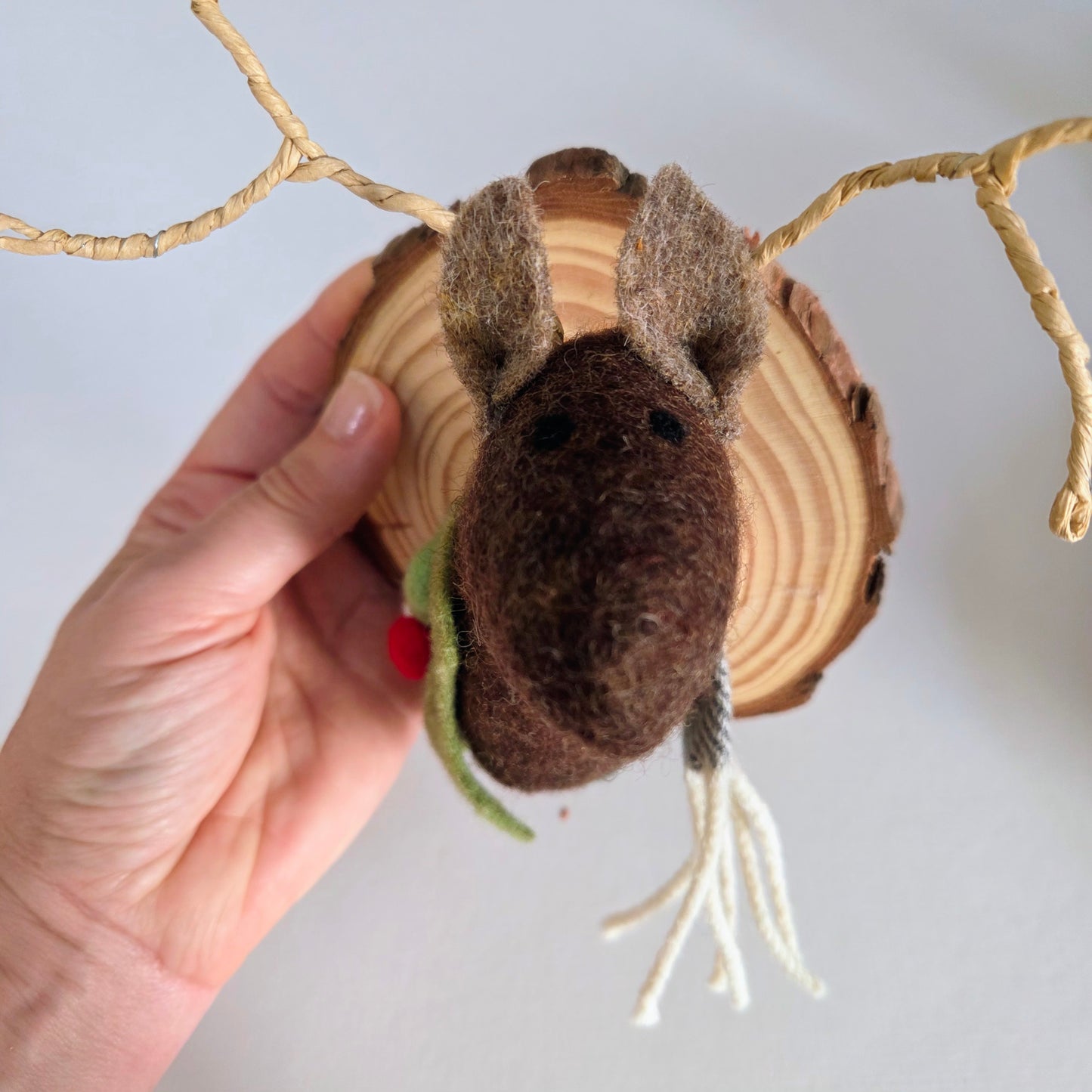 Rudolph Reindeer Faux Taxidermy