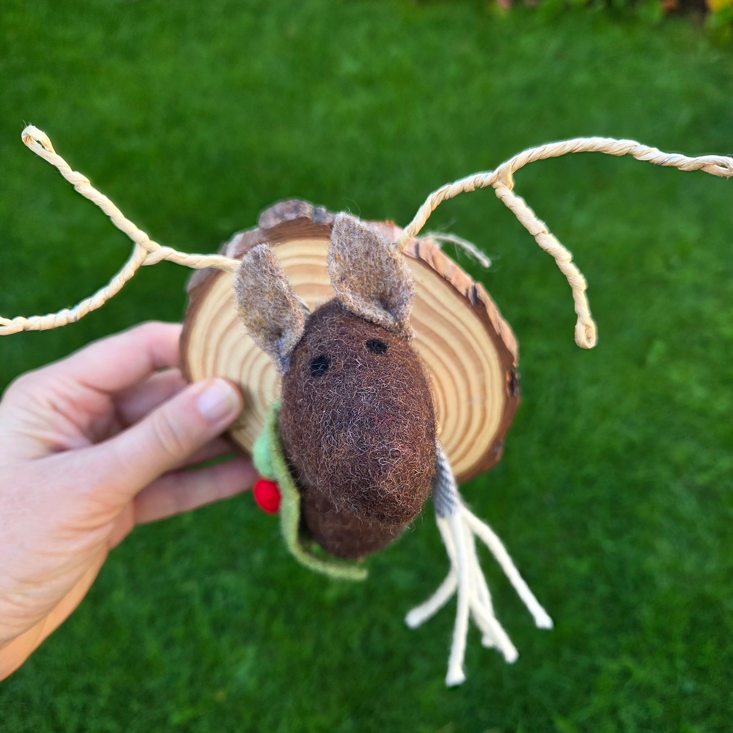 Rudolph Reindeer Faux Taxidermy