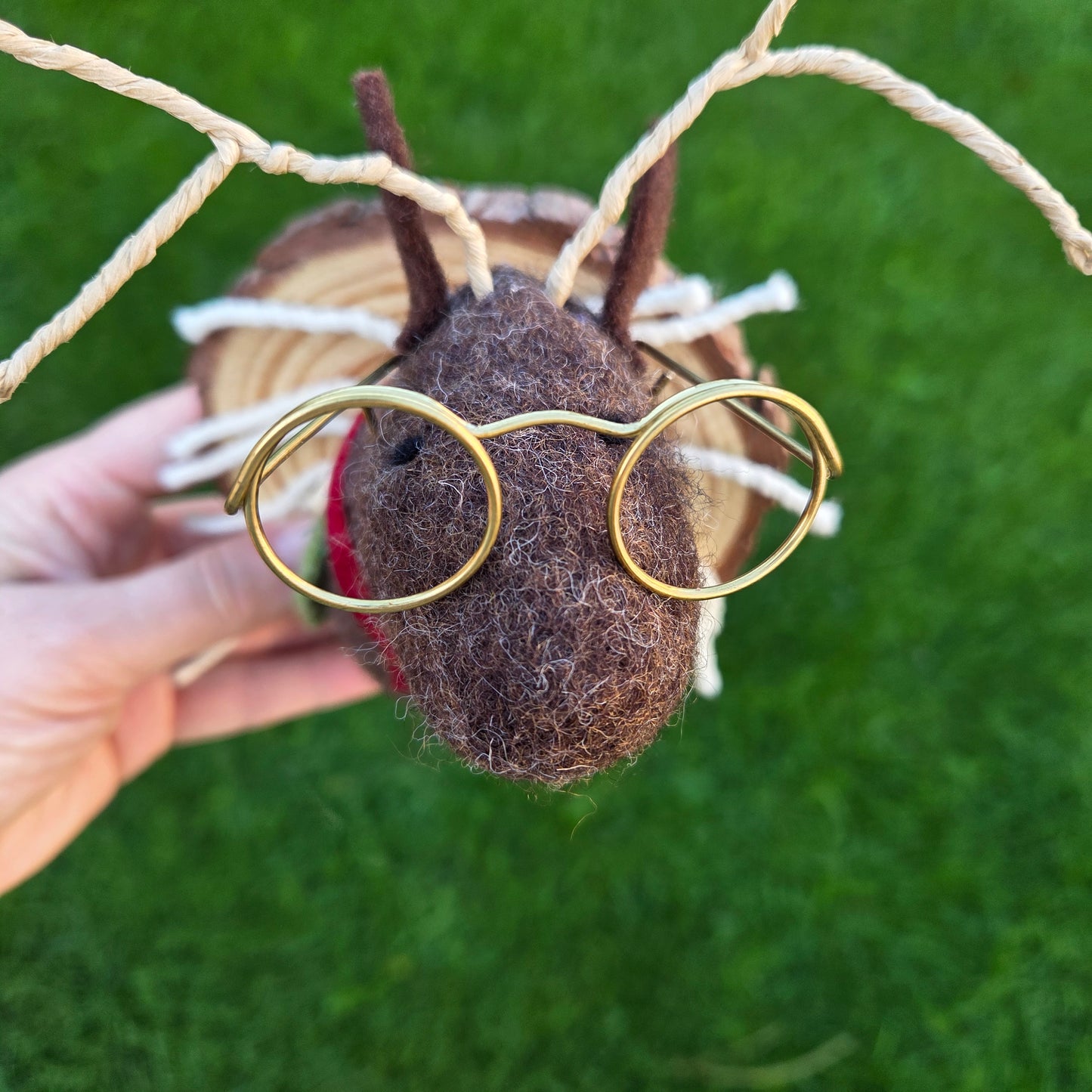 Rudolph Reindeer Faux Taxidermy